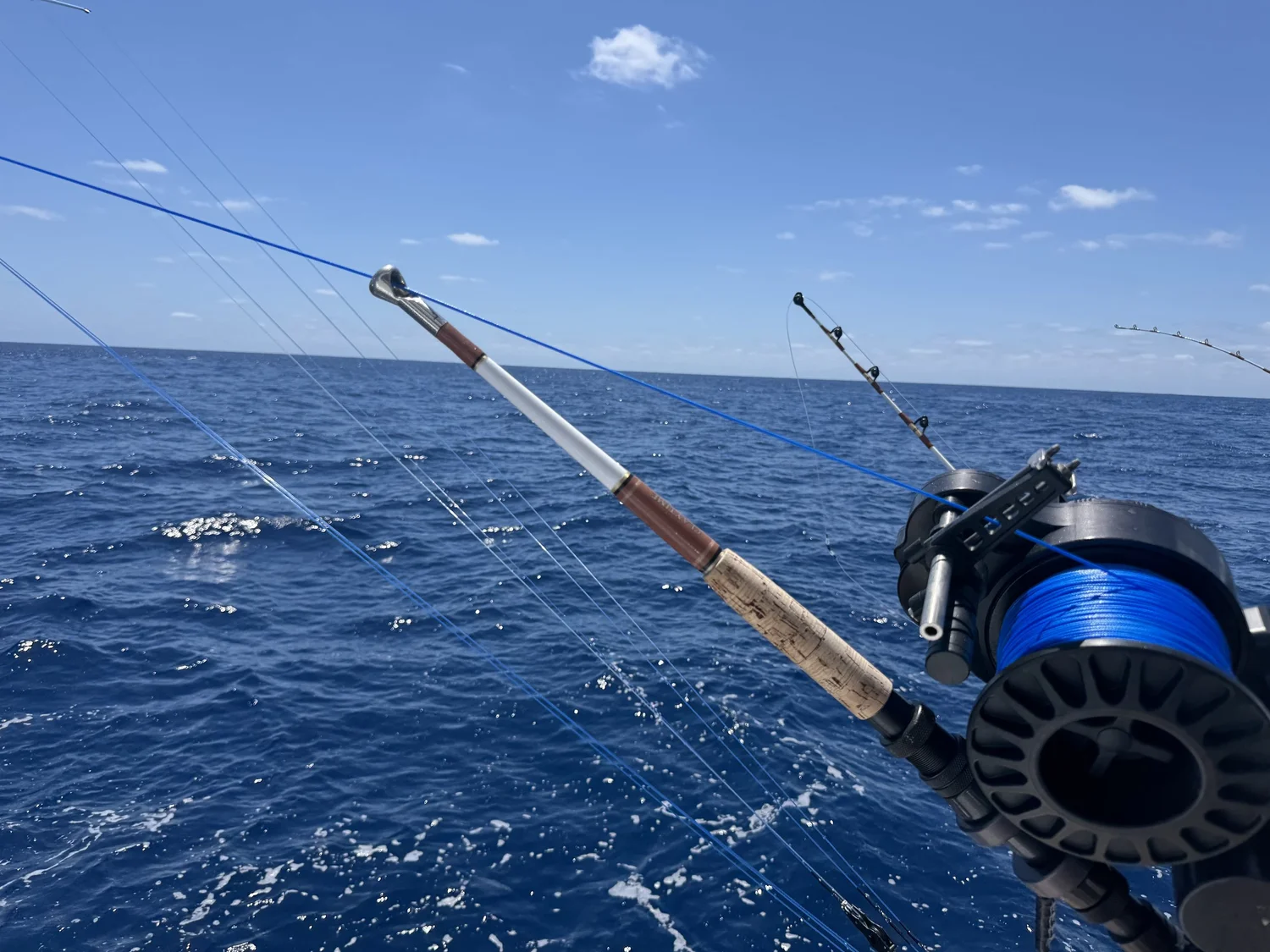The Captain Doesn’t Rig Bait